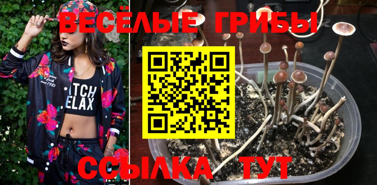Галлюциногенные грибы мухоморы Балашиха