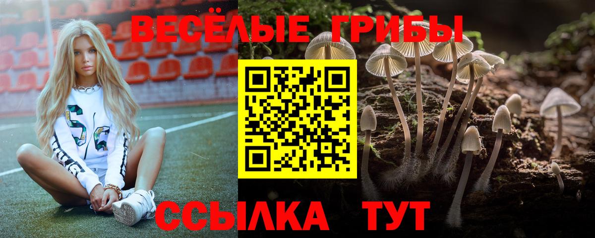 Меф МЯУ МЯУ кристаллы  Кокаин  Марихуана  Как найти закладки?  Лсд 25  Балашиха  Вход с VPN 